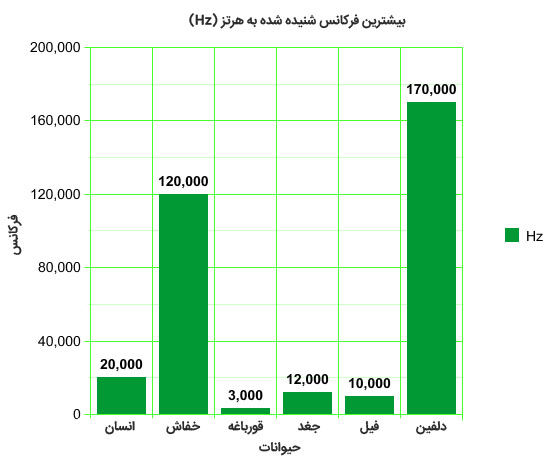 کدام حیوان حس شنوایی قوی دارد