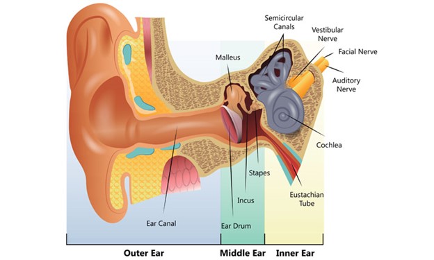 علائم کم شنوایی کودکان